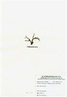 藏品(乳頭軟骨凹頂藻)的圖片